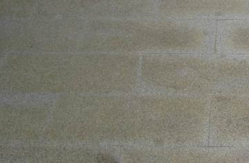  NO RUG