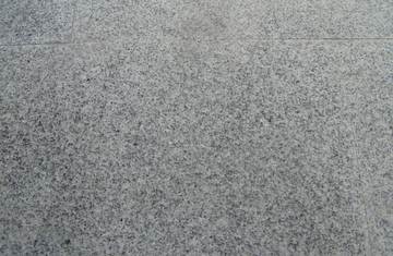  NO RUG
