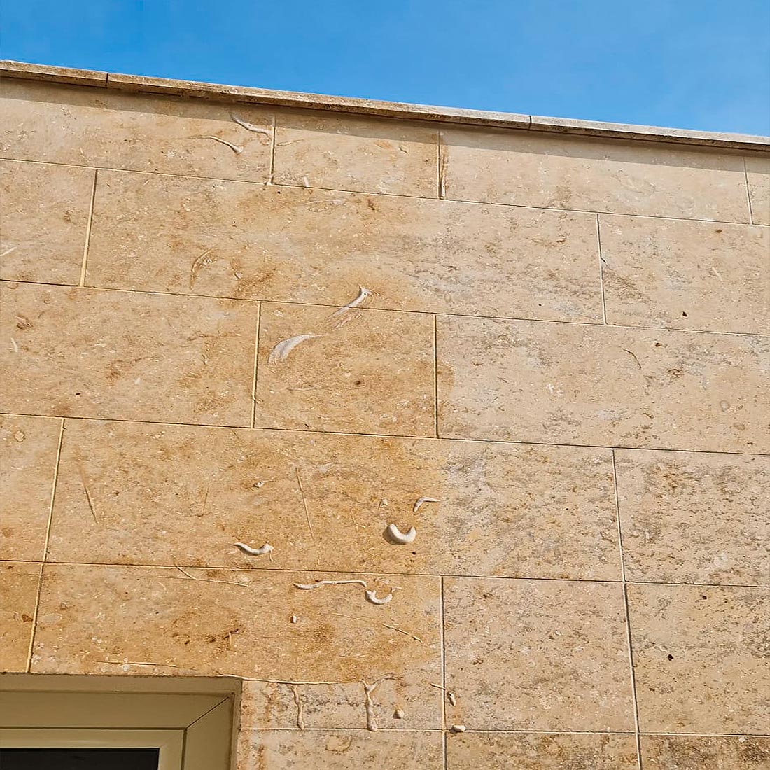 PROTECCIÓN - Caliza