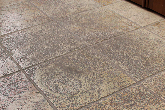 DEEP DEGREASER 2.0 DEEP DEGREASER 2.0